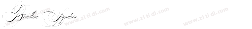 Benalline Signature字体转换